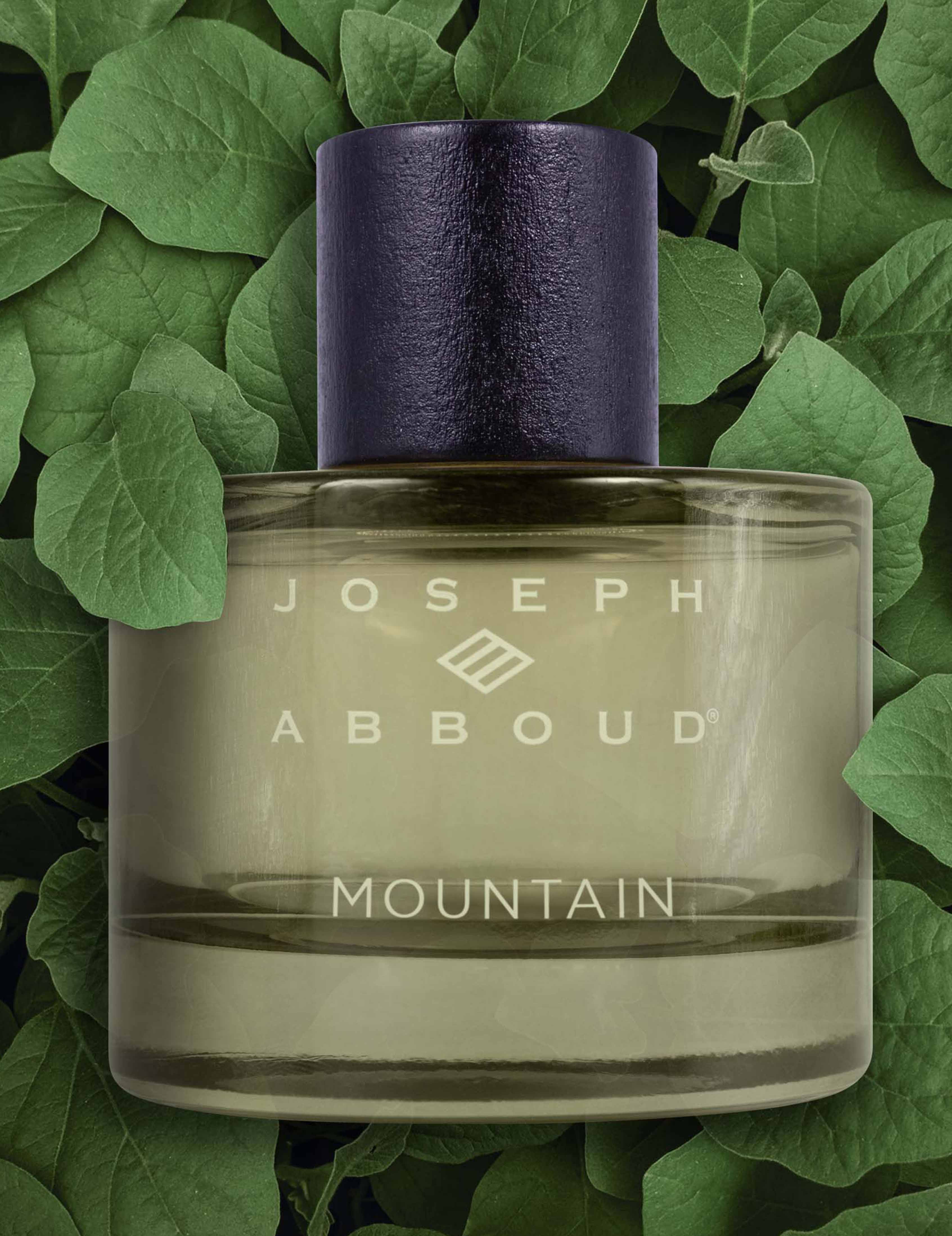 Joseph Abboud 100 ML Mountain Cologne, 100 ml